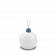 Blue Pine
