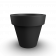 Coal Black