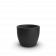 Coal Black